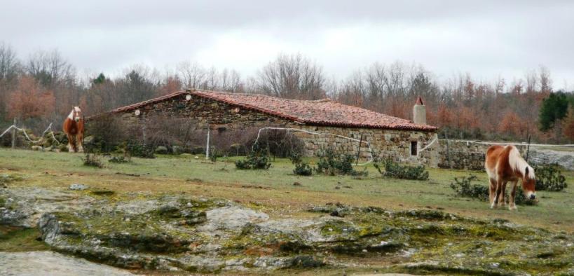 Hacinas Campolacerrada